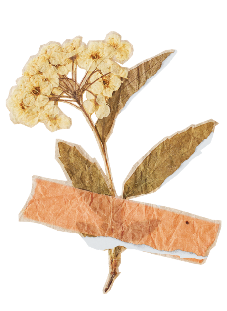 Vintage floral tape